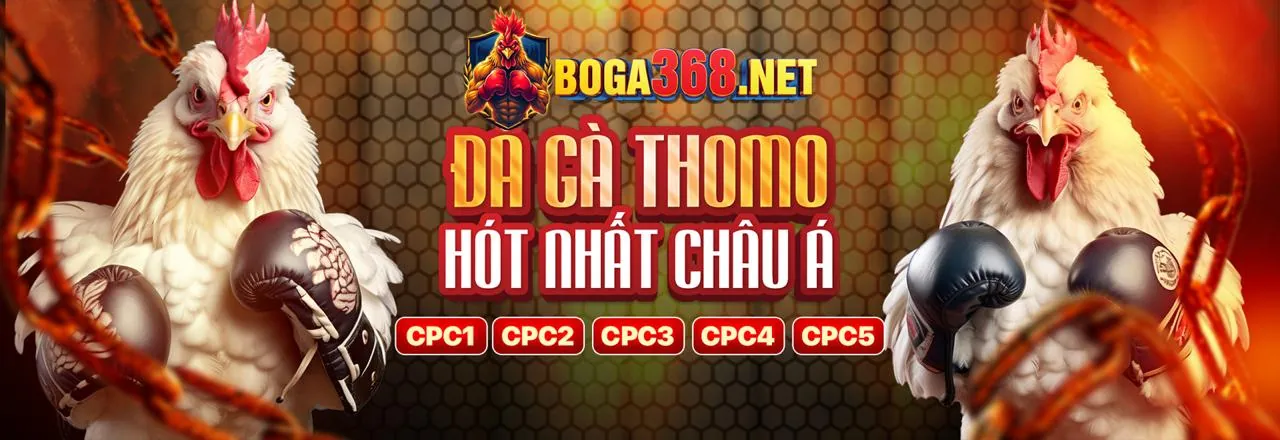 Hình ảnh giới thiệu về c8bet đăng nhập, nền tảng cá cược trực tuyến uy tín